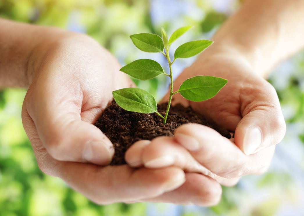Register your employees for wellbeing series